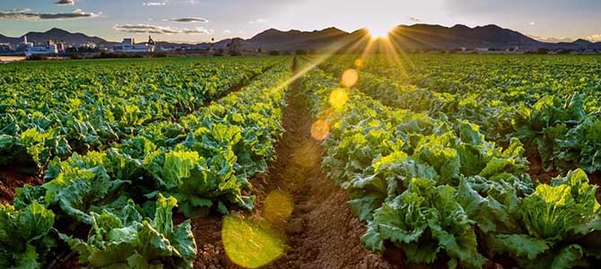 �����r(n��ng)�I(y��)Ҏ(gu��)���J(r��n)�C